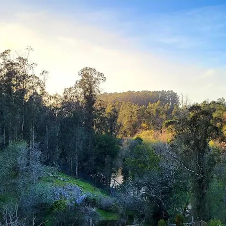Lodge Woodhouse Near River - Near Ocean - Near *