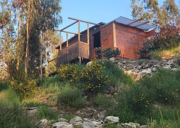 Woodhouse Near River - Near Ocean - Near * 포르투