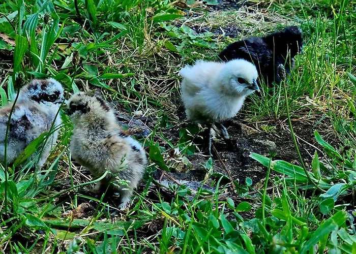 Woodhouse Near River - Near Ocean - Near 포르투