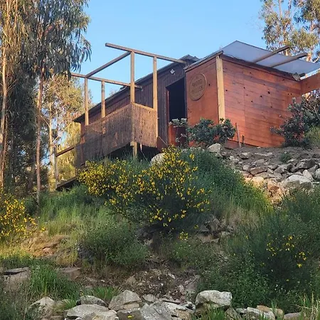 Woodhouse Near River - Near Ocean - Near * بورتو